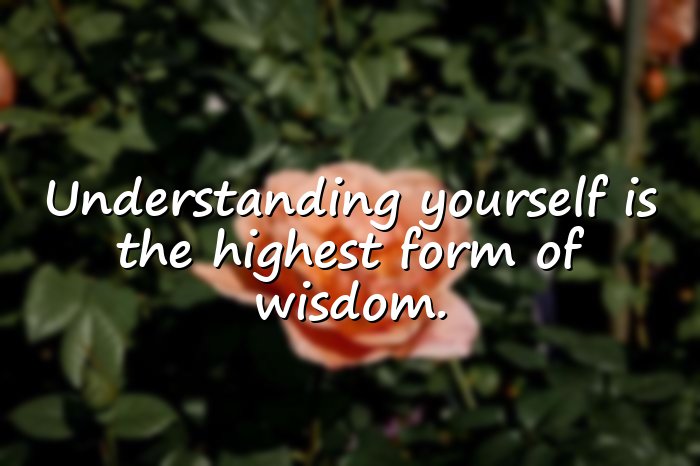 wise words - 1