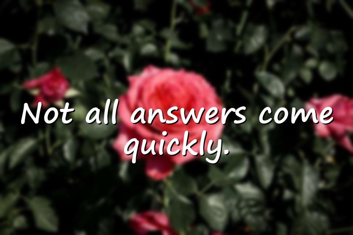 wise words - 21
