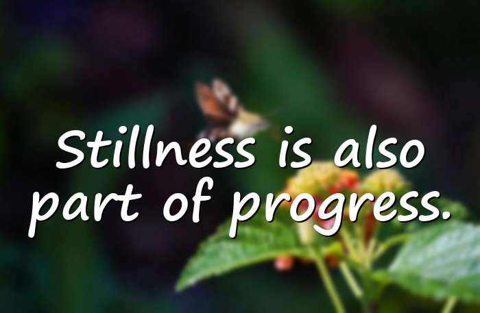 yoga quotes - 11